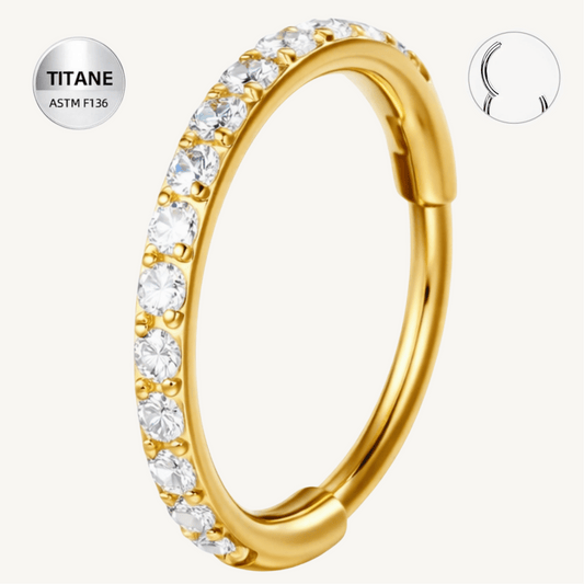 Anneau segment en titane ASTM F136 (piercing minimaliste) - CIRYA - Much Elegance