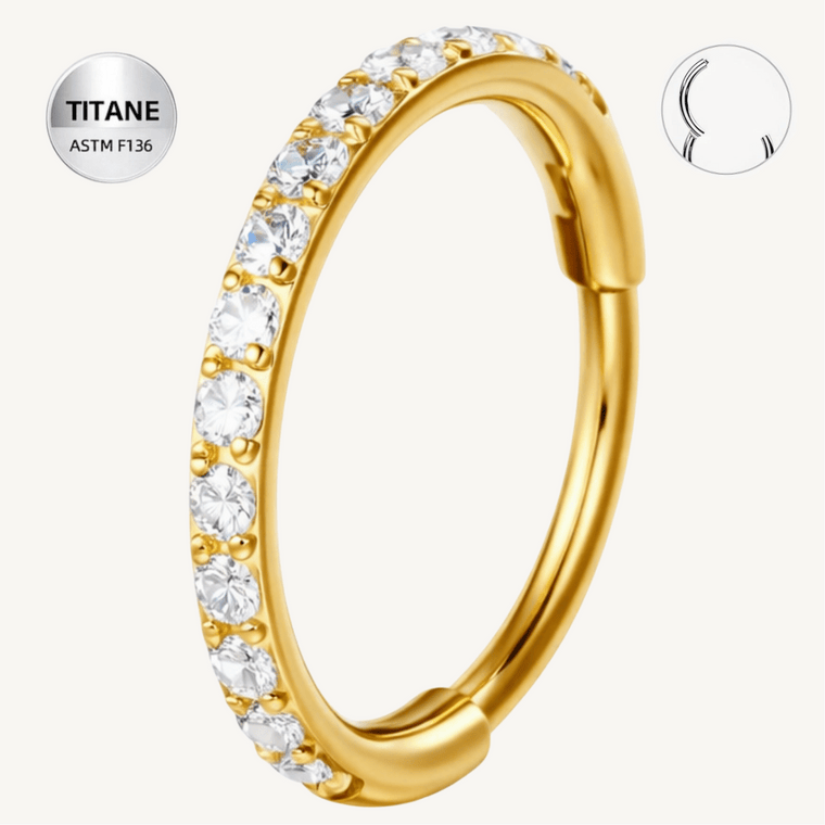 Anneau segment en titane ASTM F136 (piercing minimaliste) - CIRYA - Much Elegance