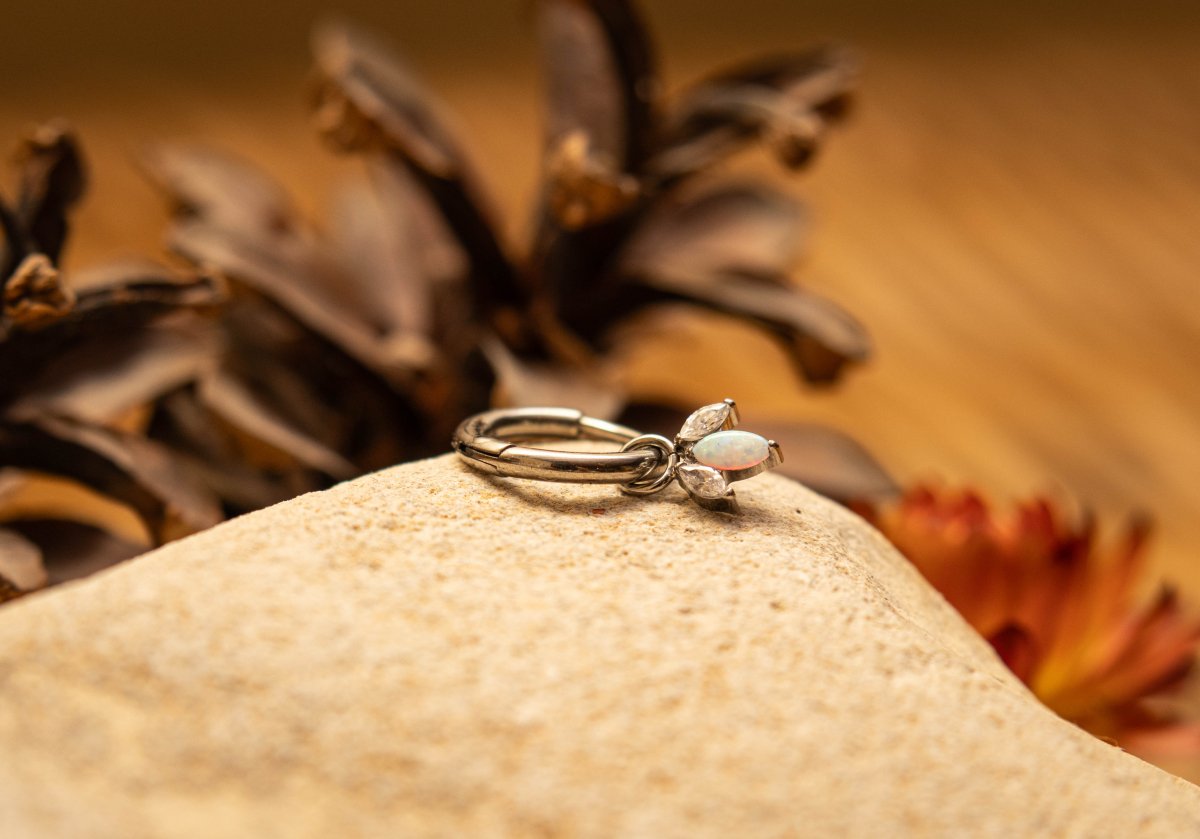 ISOLA – Créole d’oreille en titane ASTM F136 hypoallergénique - Much Elegance