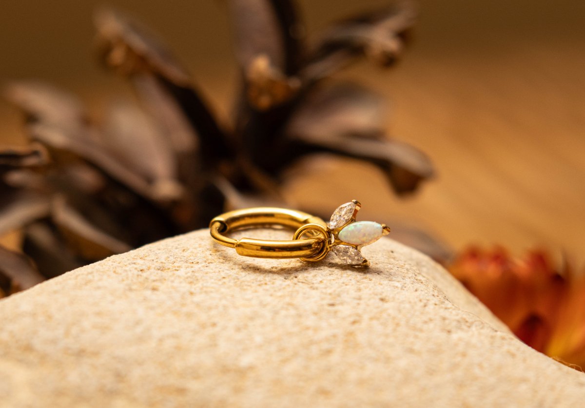 ISOLA – Créole d’oreille en titane ASTM F136 hypoallergénique - Much Elegance