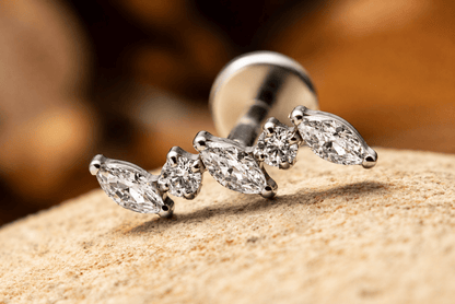 Piercing d’oreille en titane ASTM F136 hypoallergénique - ELEVIA - Much Elegance